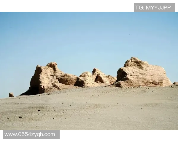 拉波尔特：探索未来科技与人类生活的交汇点与创新之路